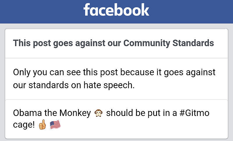 Obama the Monkey Facebook comment