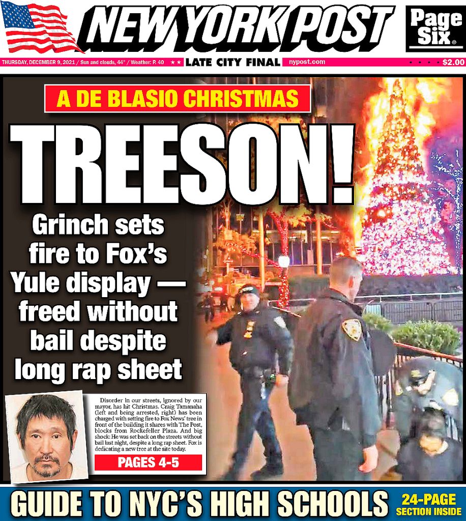 NYC Christmas Tree Arsonist. Image credit, NY Post.