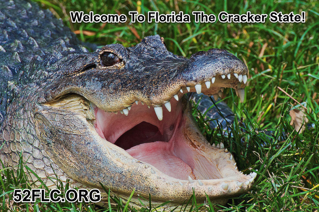 Florida Cracker State